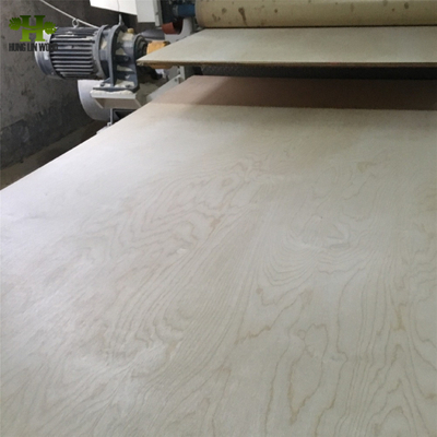 1220*2440mm First Class E0/E1 Grade Natural Birch Wood Veneer Plywood 
