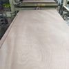 Poplar/Eucalyptus Core Okume/Bintangor/Sapeli Commercial Plywood for Furniture/Decroation