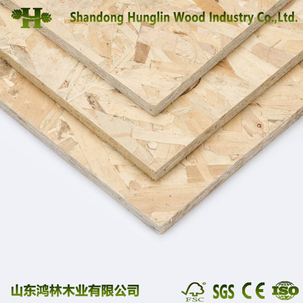 Hight Quality OSB/Waterproof OSB Board for Selling From China Manufacturer