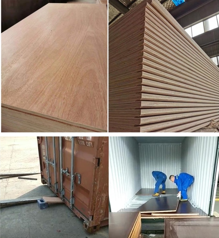 集装箱地板产品配图 (2)