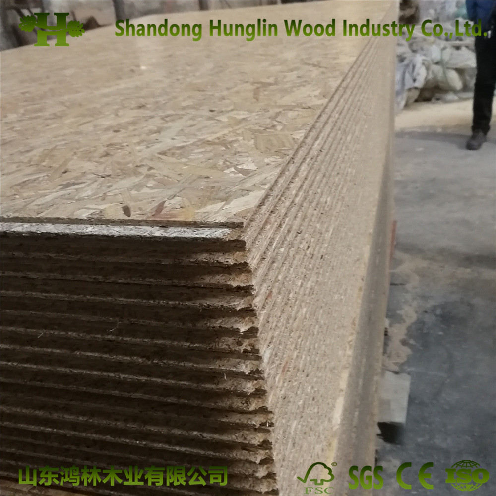 4X8FT Particle Board OSB Size From China