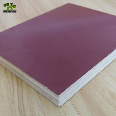 Hot Sale Plywood /Film Faced Plywood