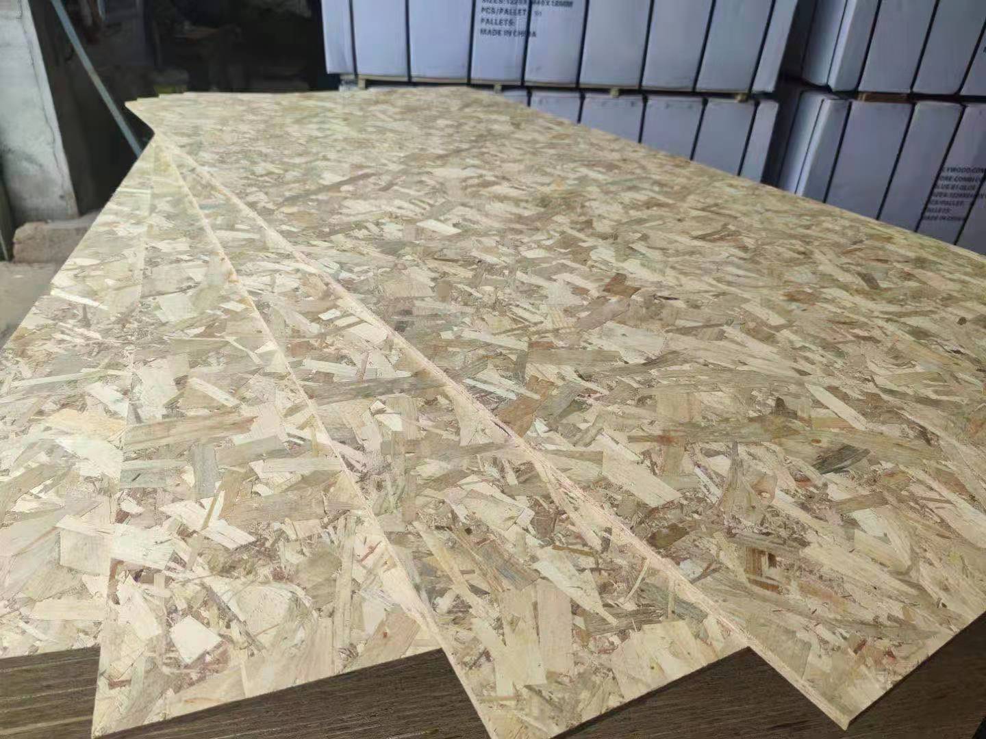 18mm OSB2 Polar Material Indoor OSB for Russia Market From China Linyi Manufacturer