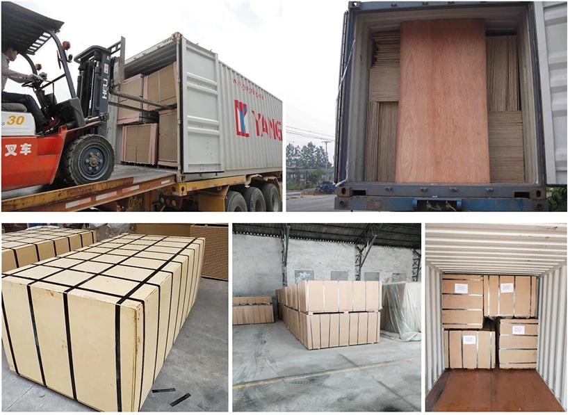 18mm-Reusable-30-Times-PP-Plastic-Formwork-Film-Faced-Plywood-for-Construction.webp (3)