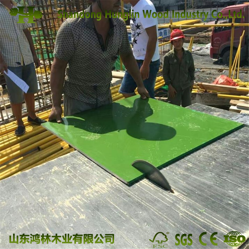 Reusable Poplar Core Green PP Plastic Film Faced / Marine Plywood for Construction