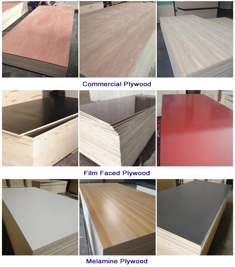 18mm-Reusable-30-Times-PP-Plastic-Formwork-Film-Faced-Plywood-for-Construction.webp (4)