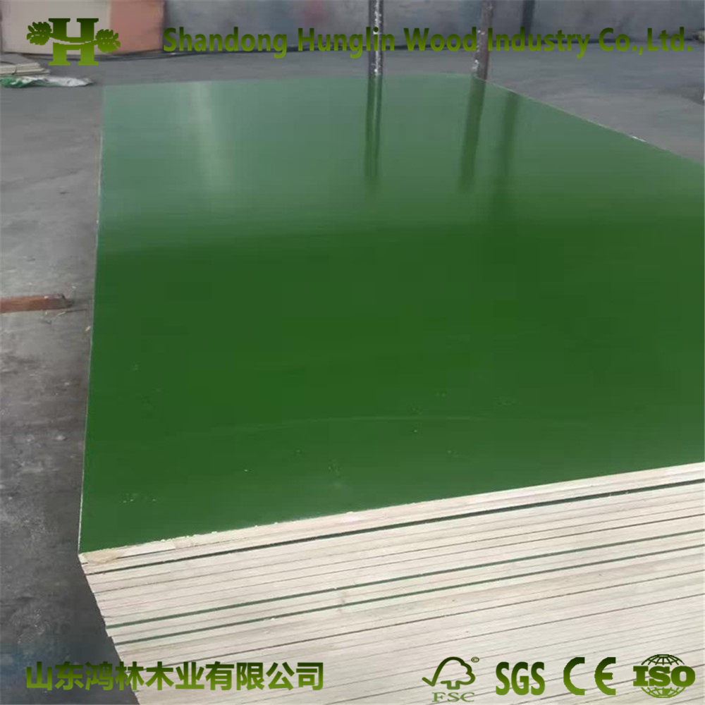 Professional Produce Green Red Blue Color Plastic Film Faced Plywood