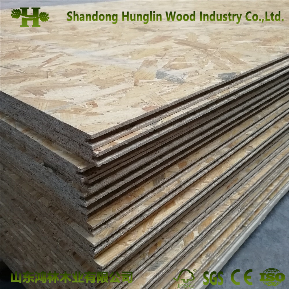 T&G OSB (Oriented Strandboard) for House Building From China