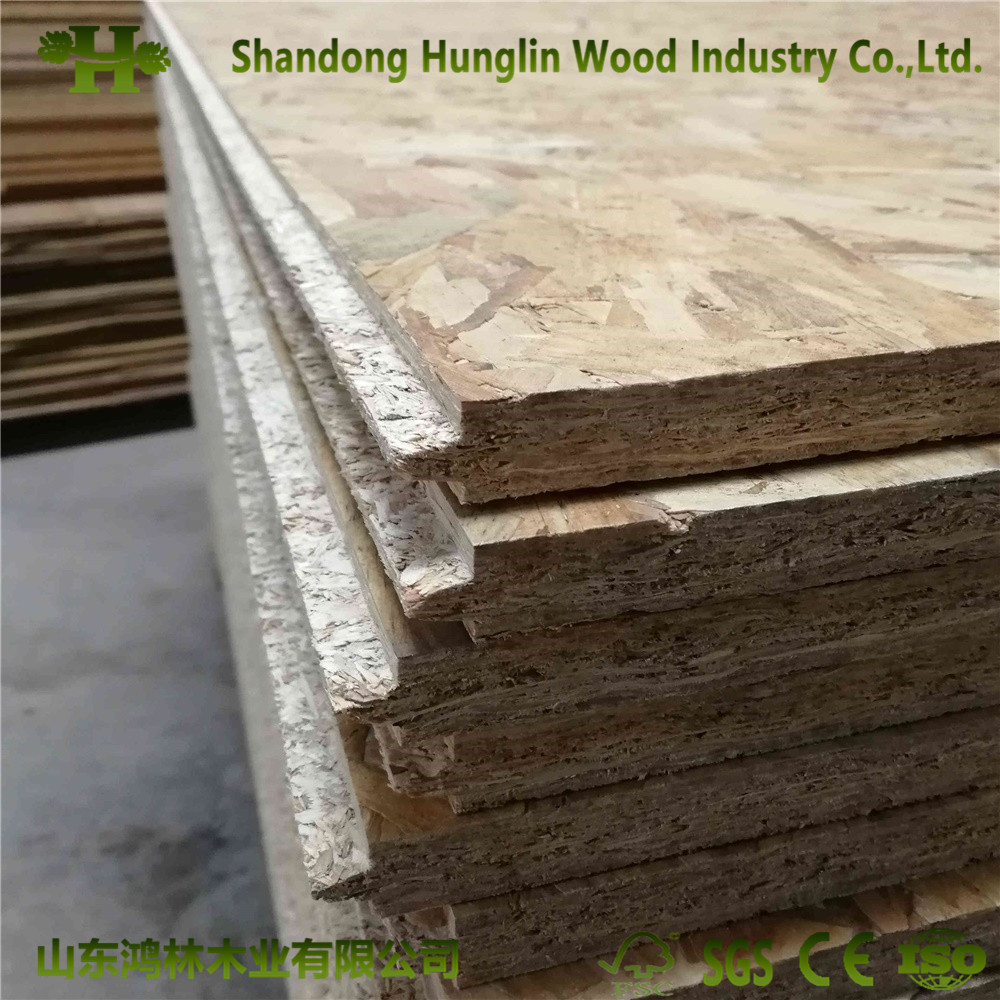 Oriented Strand Boards (OSB) Used for House Decoration